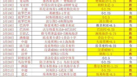 辛纳21马奇蒙特卡洛大师赛8强，14连冠大师赛19连胜
